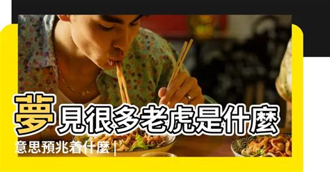 夢到老虎追|夢見老虎是什麼意思 做夢夢到老虎好不好